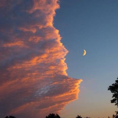 大秦伏魔录变态版下载